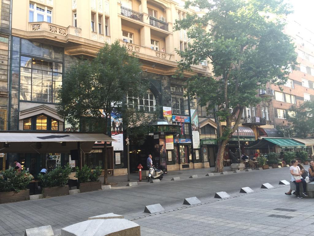 Apartment Near Opera In Downtown บูดาเปสต์ ภายนอก รูปภาพ
